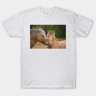 Friends T-Shirt